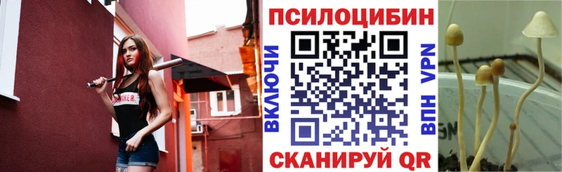Галлюциногенные грибы MAGIC MUSHROOMS  Билибино 